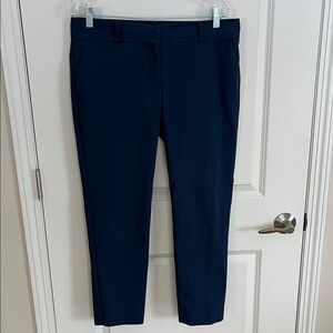 Ann Taylor Ankle Pant